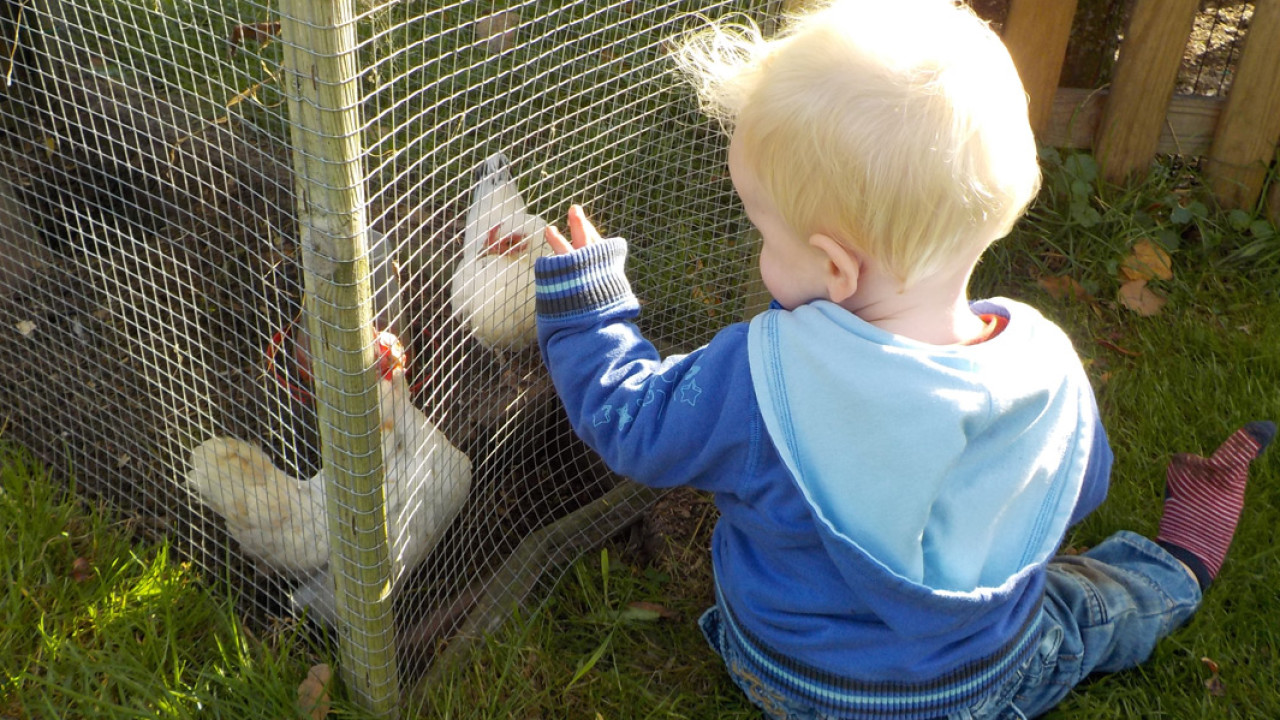 Kinderdagverblijf Wilton's Hof Oostelbeers afbeelding 6