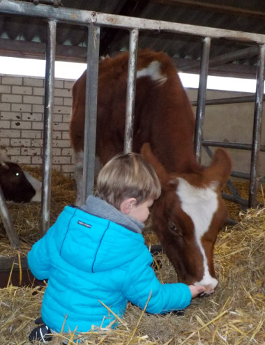 Kinderdagverblijf Wilton's Hof Oostelbeers afbeelding 3