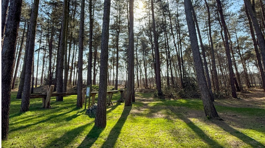 De Oude Brandtoren Reusel afbeelding 2