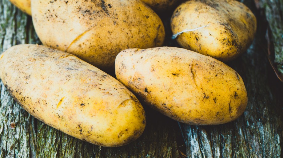 Van Gerwen Aardappelgroothandel Valkenswaard afbeelding 4