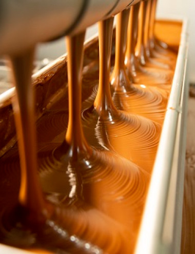 Van Ham Chocolaterie B.V. Esbeek afbeelding 3