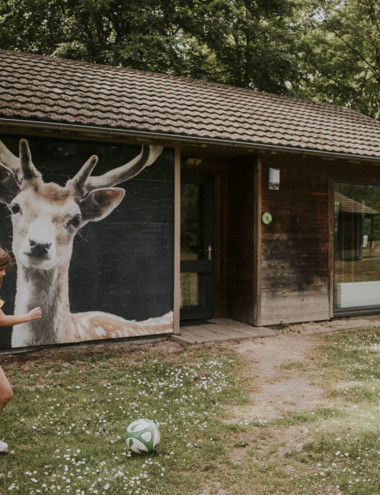 Vakantiepark Dierenbos Vinkel afbeelding 5