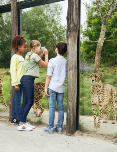 Eindhoven Zoo Mierlo afbeelding 5