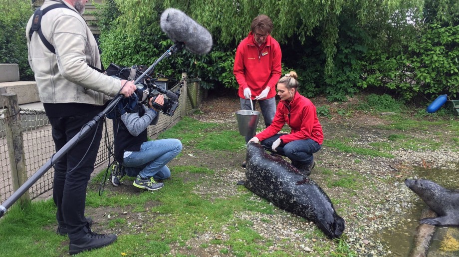 Eindhoven Zoo Mierlo afbeelding 2