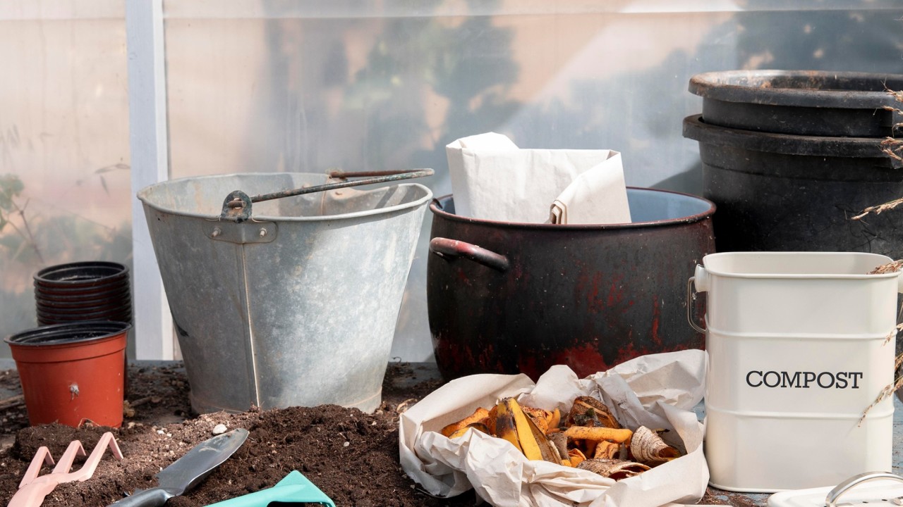 Tuincentrum Coppelmans Helmond  Helmond afbeelding 6