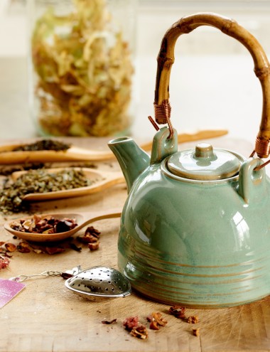 Tuincentrum Coppelmans Helmond  Helmond afbeelding 3