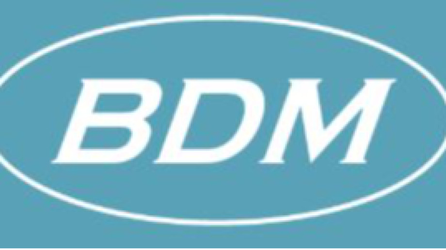 Bearing Design and Manufacturing Bergeijk afbeelding 2