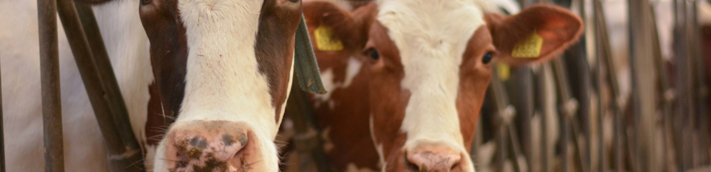 Medewerker Support en Logistiek Agro