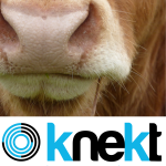 Knekt.nl Best logo