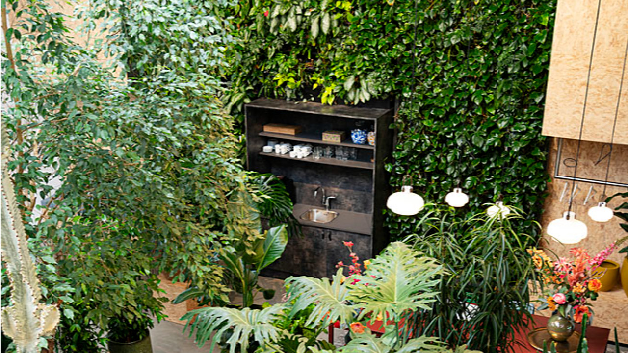 Interieurbeplanting De Klerk B.V. VELDHOVEN afbeelding 1