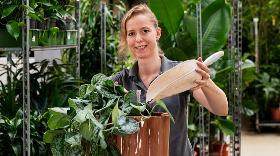 Interieurbeplanting De Klerk B.V. VELDHOVEN afbeelding 2