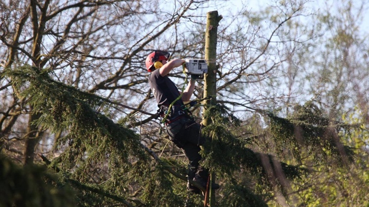 Koen Janssen Tuinen Heeze afbeelding 6