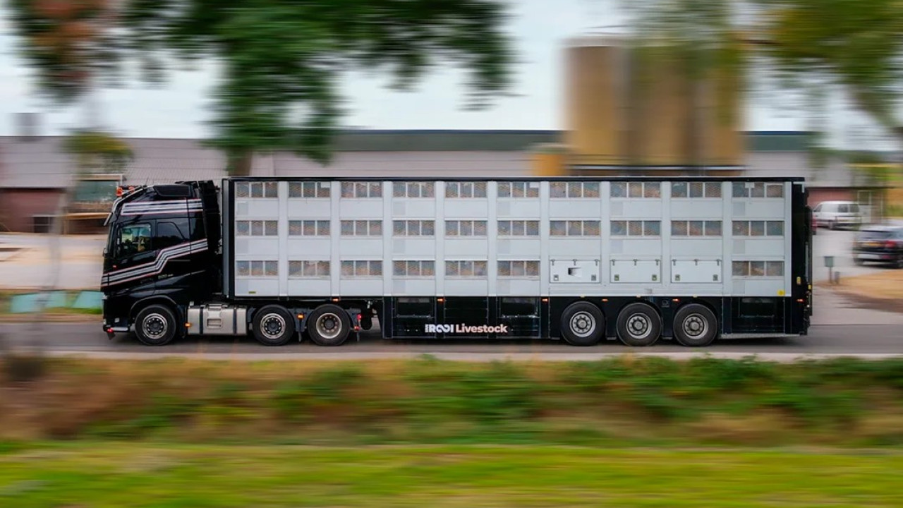 Van Rooi Livestock Lieshout afbeelding 1