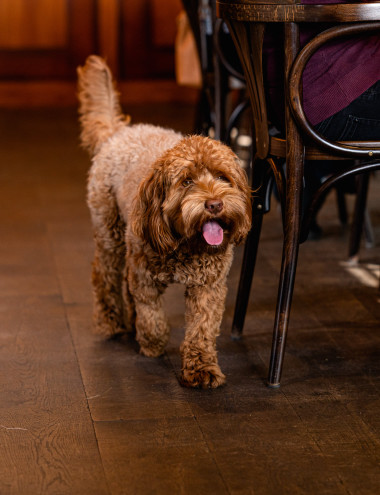 Harotex Gordijnenatelier B.V. HELMOND afbeelding 5