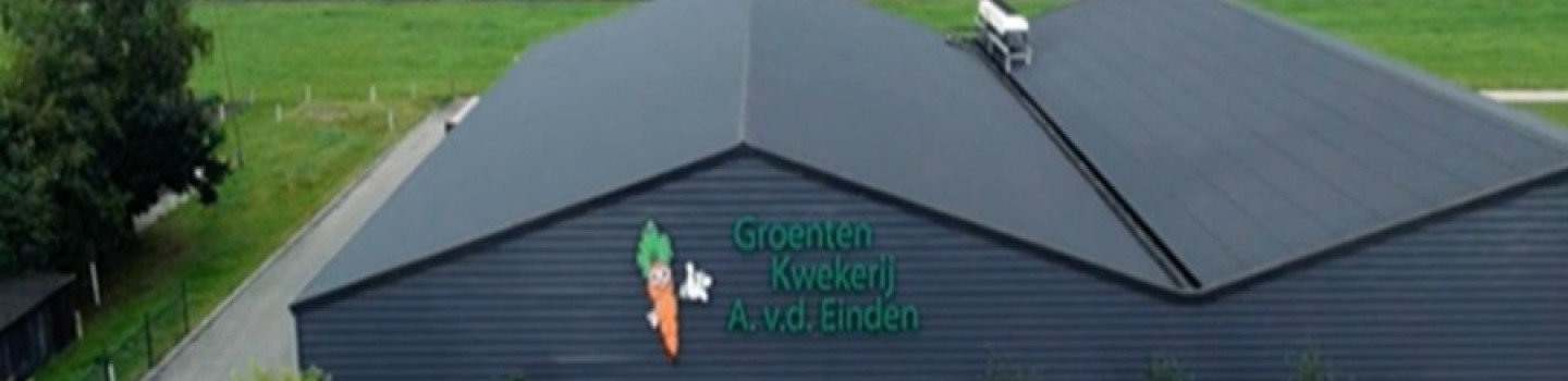 Groentekwekerij A. van den Einden B.V.