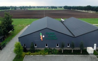 Groentekwekerij A. van den Einden B.V. LIEROP afbeelding