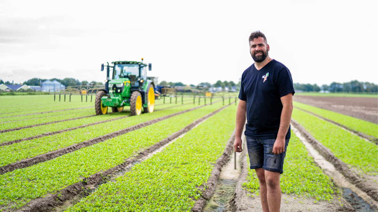 Groentekwekerij Van den Einden B.V. LIEROP afbeelding 1