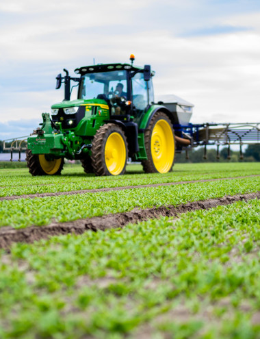 Groentekwekerij Van den Einden B.V. LIEROP afbeelding 5