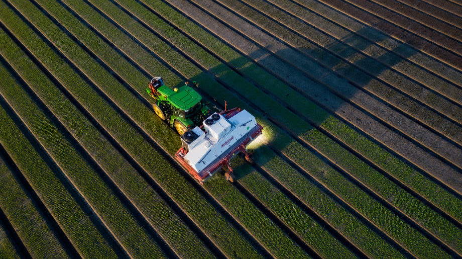 Green Specialties Holland LIEROP afbeelding 2