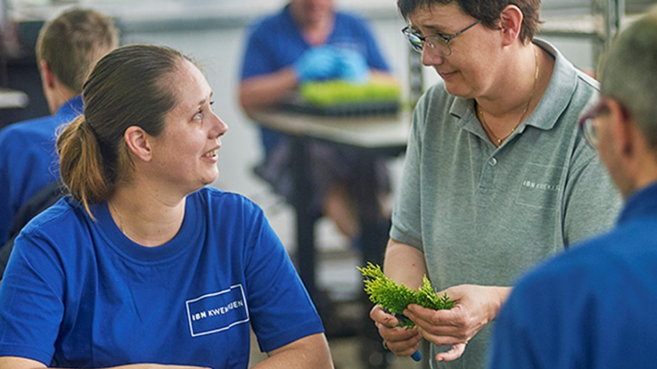 IBN UDEN afbeelding 6