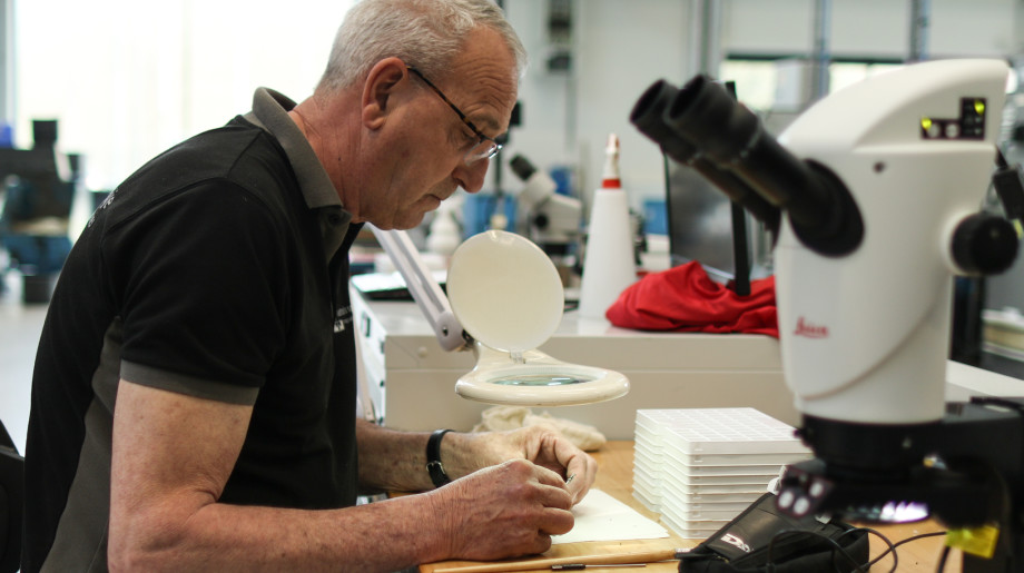 Settels Savenije group of companies B.V. Eindhoven afbeelding 2 Settels Savenije group of companies B.V. Eindhoven afbeelding 2