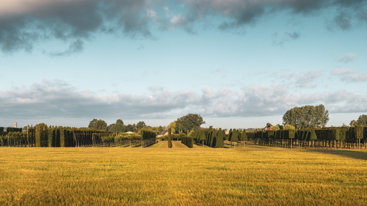 Boomkwekerij Johan van Overbeek OIRSCHOT afbeelding 1