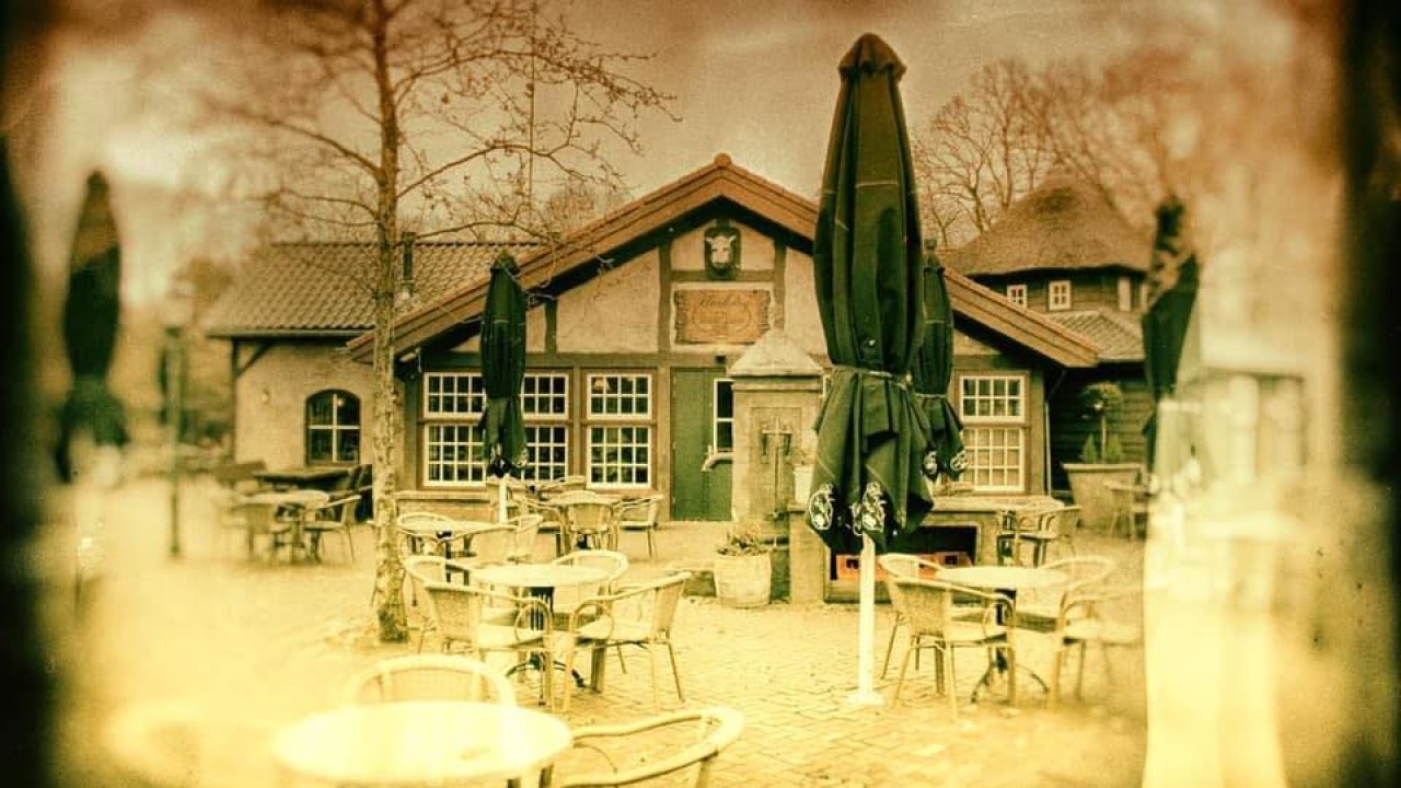 Herberg in het Wilde Zwijn B.V. BERGEIJK afbeelding 6