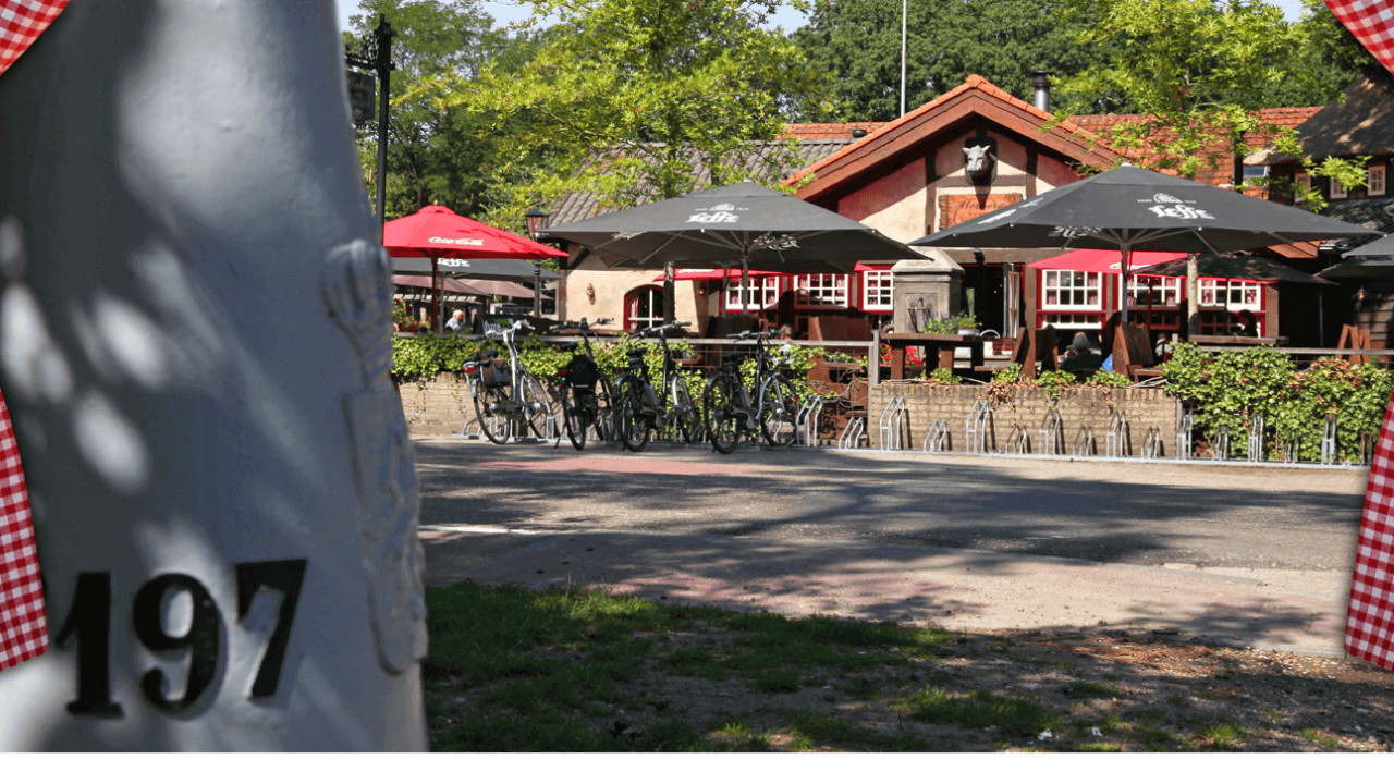 Herberg in het Wilde Zwijn B.V. BERGEIJK afbeelding 1