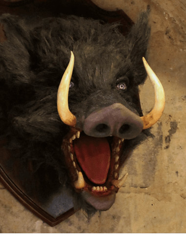 Herberg in het Wilde Zwijn B.V. BERGEIJK afbeelding 5