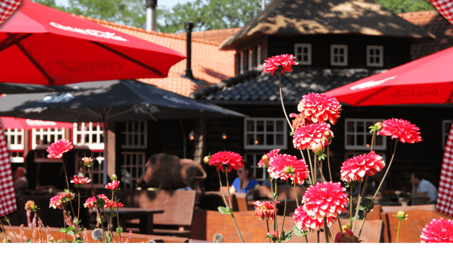 Herberg in het Wilde Zwijn B.V. BERGEIJK afbeelding 2