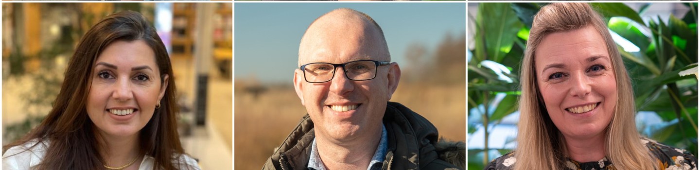 Gegevensbeheerder