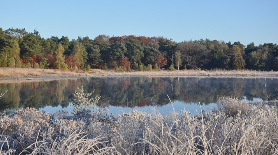 Gemeente Waalre Waalre afbeelding 4