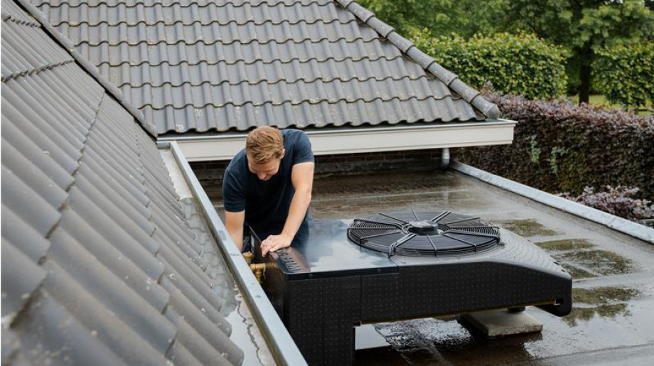Weheat Duizel afbeelding 4 Weheat Duizel afbeelding 4