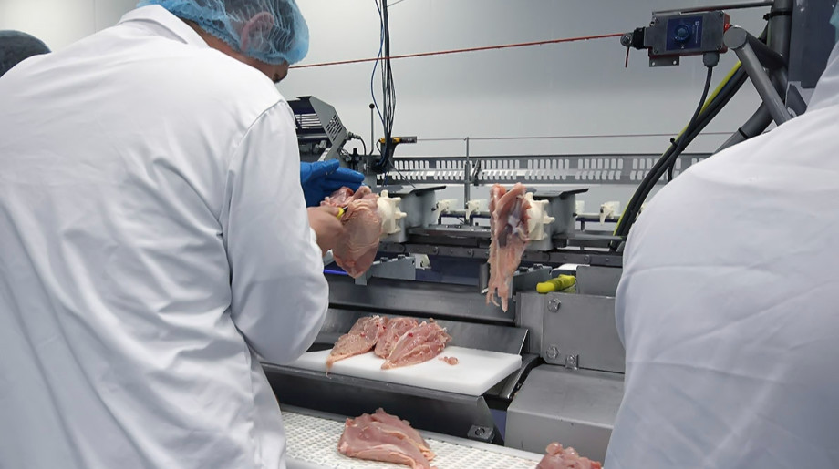 Broviand B.V. SOMEREN afbeelding 2