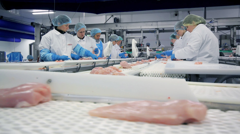 Broviand B.V. SOMEREN afbeelding 4