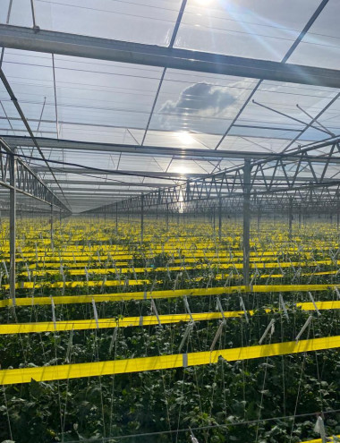 Installatietechniek van Genugten B.V. Mierlo afbeelding 5