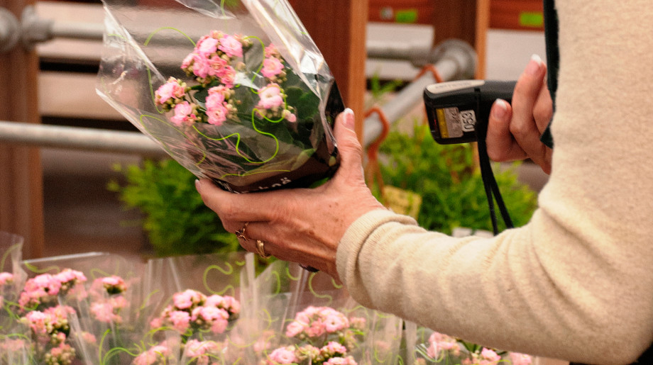 Intelco Duizel afbeelding 4