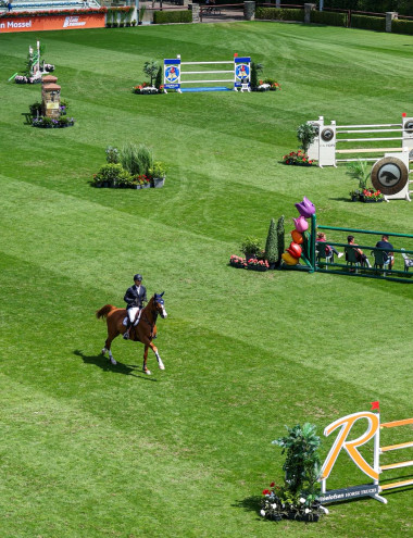 Stal Tops B.V. Valkenswaard afbeelding 5