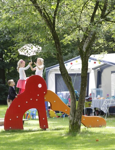 Camping de Paal Bergeijk afbeelding 3