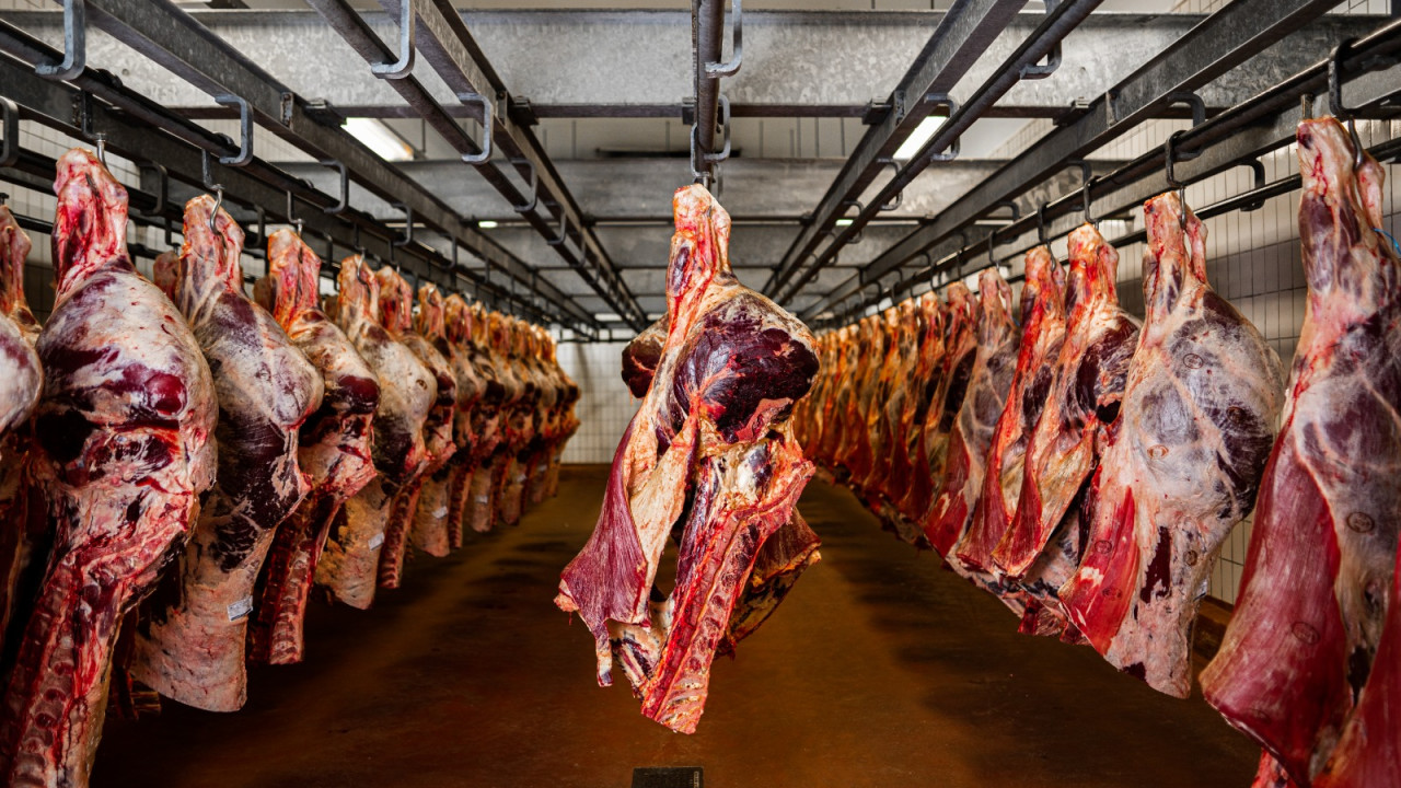 Van Rooi Beef & Veal Someren afbeelding 1