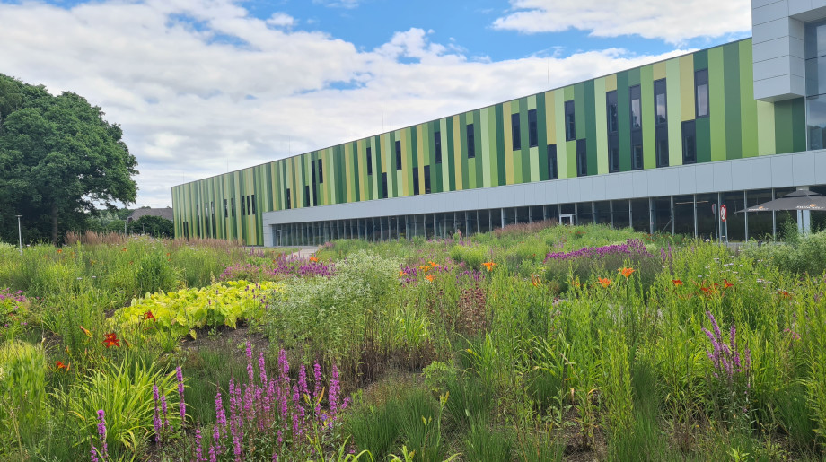 KMWE Eindhoven afbeelding 2 KMWE Eindhoven afbeelding 2