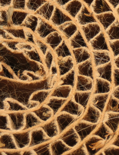 CSG Clean Solutions Eersel afbeelding 5