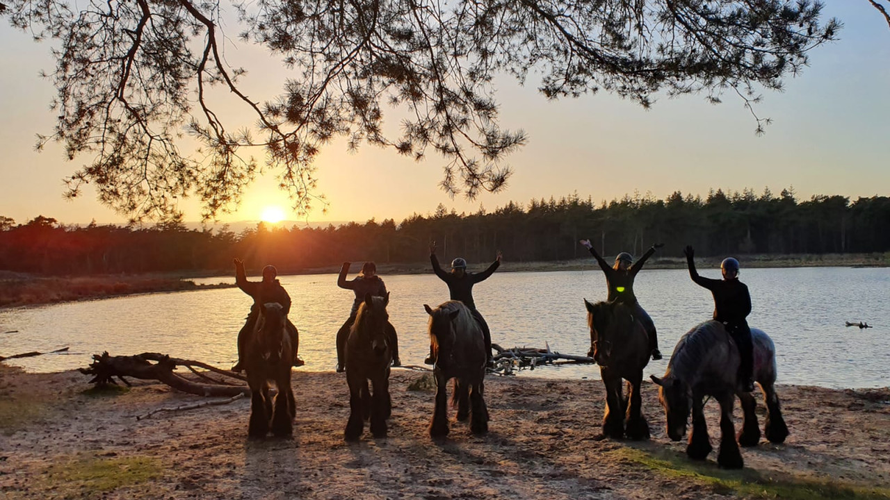 Hut van Mie Pils B.V. Waalre afbeelding 6