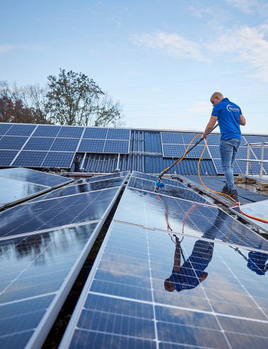 Sparidaens B.V. Bladel afbeelding 5