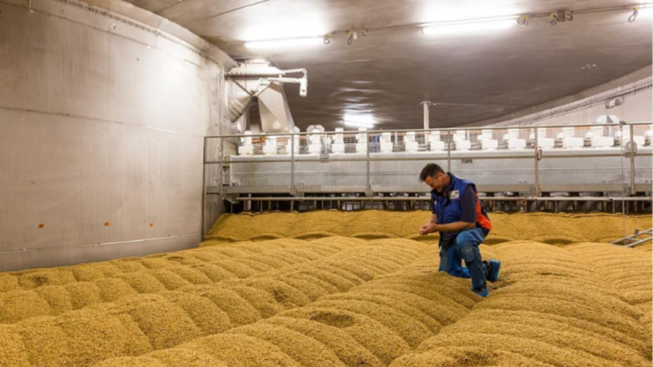 Holland Malt Lieshout afbeelding 6