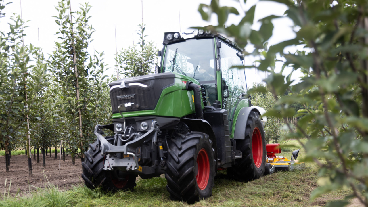 Boomkwekerij Mark van Genugten B.V. Son en breugel afbeelding 1