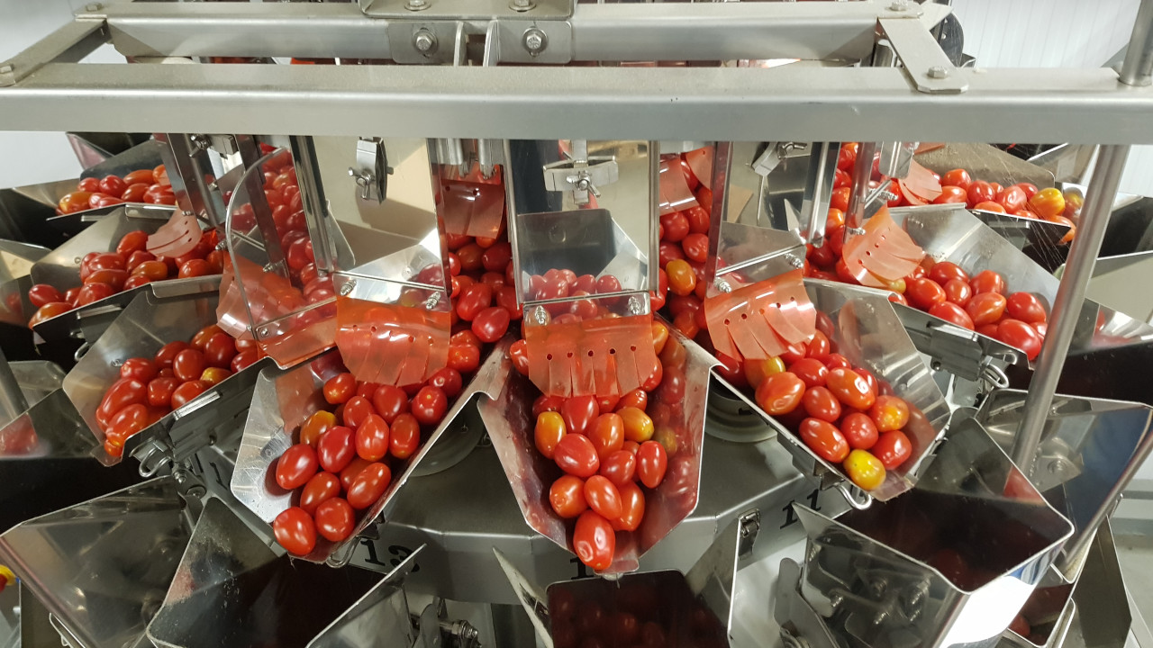 Yamato Scale Benelux Goirle afbeelding 6