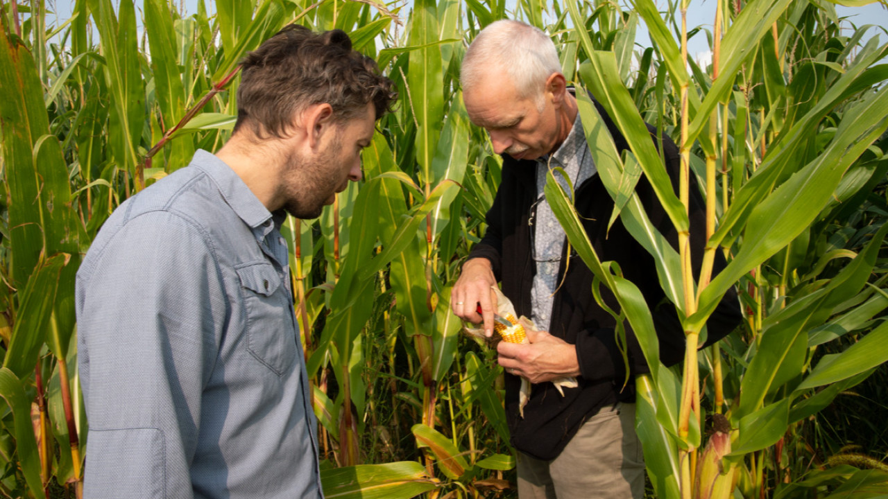 Nutrivice Consultancy B.V. Veldhoven afbeelding 1