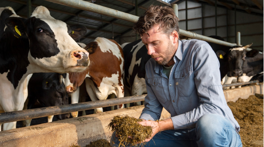 Nutrivice Consultancy B.V. Veldhoven afbeelding 4