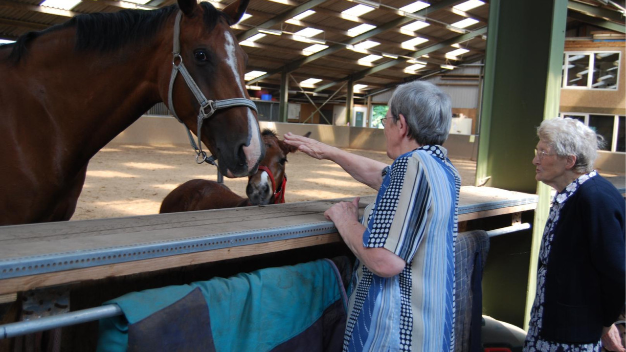 Het Scheiend Oirschot afbeelding 6